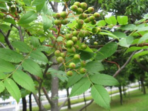 fe9f185be473a2d13b2024bceeae54a0