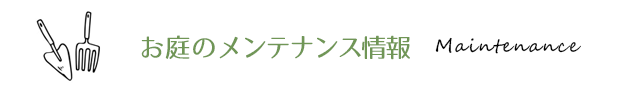 お庭のメンテナンス