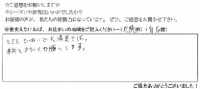 voice_snow_150096