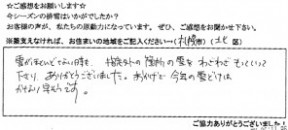 voice_snow_150100