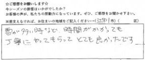 voice_snow_170006