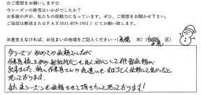 voice_snow_22036