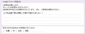 voice_snow_24031