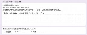 voice_snow_24036