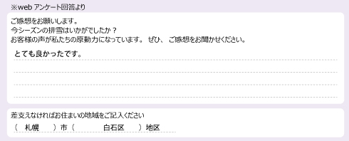 voice_snow_24046