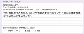 voice_snow_24064