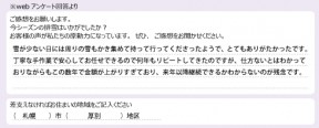 voice_snow_24071