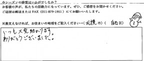 voice_snow_24077