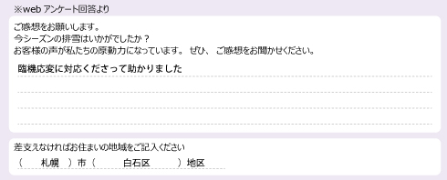 voice_snow_25082